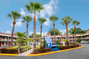 Отель Hotel South Tampa & Suites  Тампа